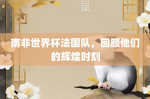 南非世界杯法国队，回顾他们的辉煌时刻