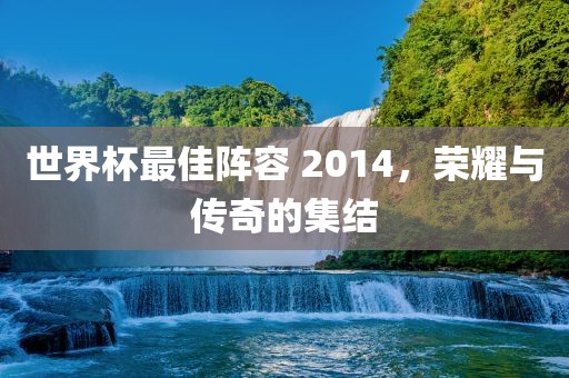 世界杯最佳阵容 2014，荣耀与传奇的集结