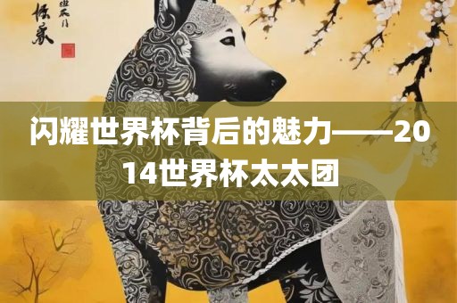 闪耀世界杯背后的魅力——2014世界杯太太团