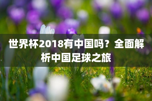 世界杯2018有中国吗？全面解析中国足球之旅