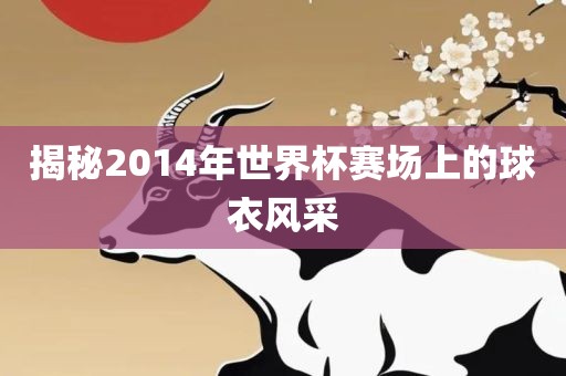 揭秘2014年世界杯赛场上的球衣风采