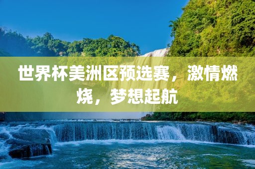 世界杯美洲区预选赛，激情燃烧，梦想起航