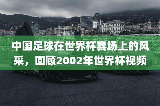 中国足球在世界杯赛场上的风采，回顾2002年世界杯视频
