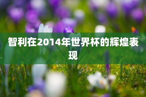 智利在2014年世界杯的辉煌表现金炬实业股份有限公司