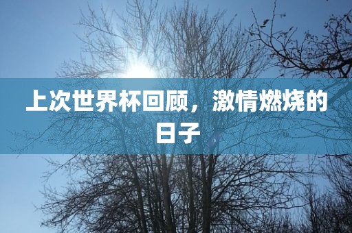 上次世界杯回顾，激情燃烧的日子