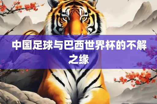 中国足球与巴西世界杯的不解之缘