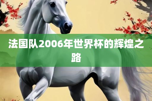 法国队2006年世界杯的辉煌之路