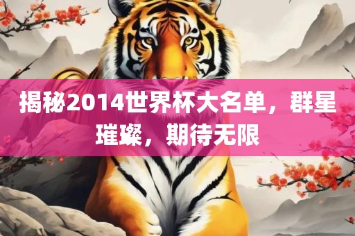 揭秘2014世界杯大名单，群星璀璨，期待无限