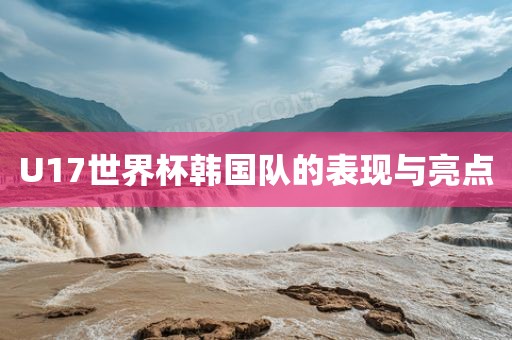 U17世界杯韩国队的表现与亮点