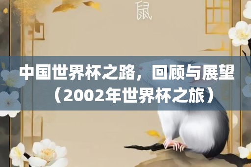 中国世界杯之路，回顾与展望（2002年世界杯之旅）