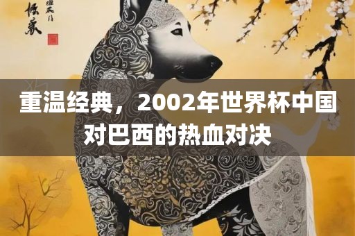 重温经典，2002年世界杯中国对巴西的热血对决