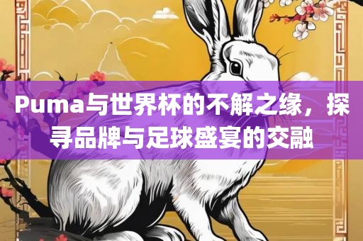 Puma与世界杯的不解之缘，探寻品牌与足球盛宴的交融