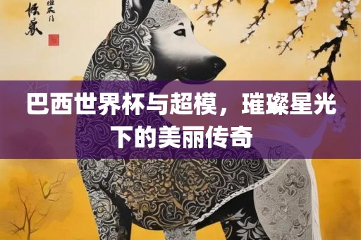 巴西世界杯与超模，璀璨星光下的美丽传奇