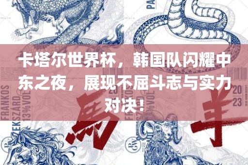 卡塔尔世界杯，韩国队闪耀中东之夜，展现不屈斗志与实力对决！