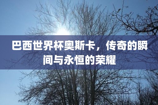 巴西世界杯奥斯卡，传奇的瞬间与永恒的荣耀