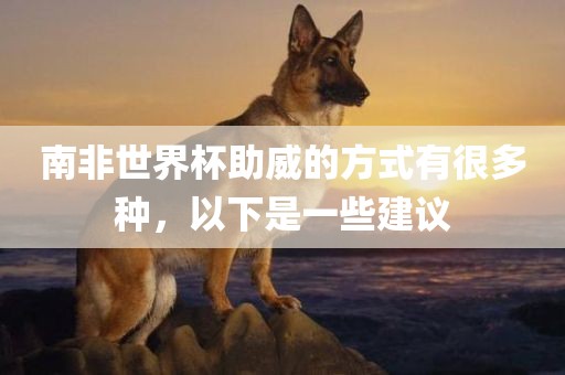 南非世界杯助威的方式有很多种，以下是一些建议金炬实业股份有限公司