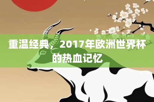 重温经典，2017年欧洲世界杯的热血记忆金炬实业股份有限公司