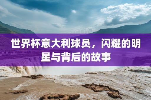 世界杯意大利球员，闪耀的明星与背后的故事