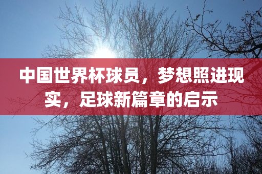 中国世界杯球员，梦想照进现实，足球新篇章的启示