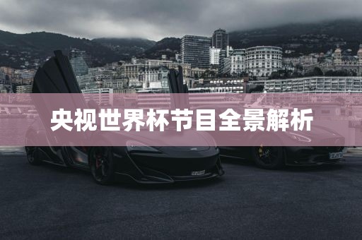 央视世界杯节目全景解析