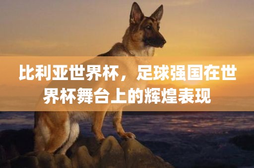 比利亚世界杯，足球强国在世界杯舞台上的辉煌表现金炬实业股份有限公司