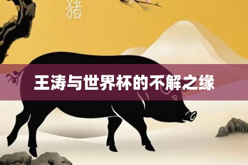 王涛与世界杯的不解之缘