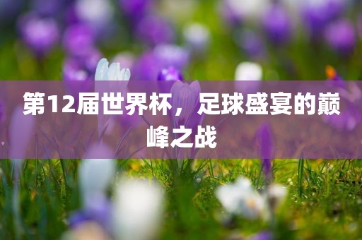 第12届世界杯，足球盛宴的巅峰之战