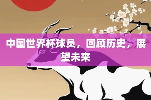 中国世界杯球员，回顾历史，展望未来