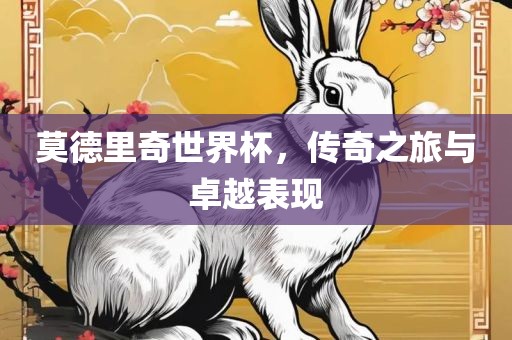 莫德里奇世界杯，传奇之旅与卓越表现