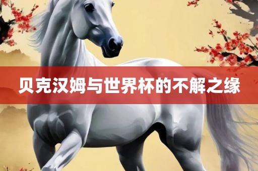 贝克汉姆与世界杯的不解之缘