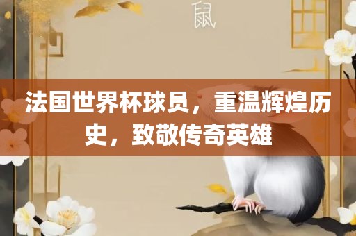 法国世界杯球员，重温辉煌历史，致敬传奇英雄