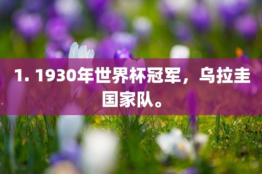 1. 1930年世界杯冠军，乌拉圭国家队。