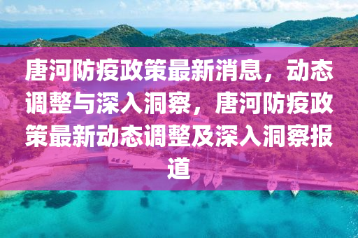 世界杯让球策略，深度解析与实用指南