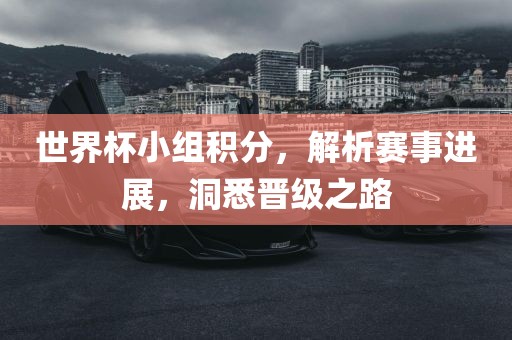 世界杯小组积分，解析赛事进展，洞悉晋级之路