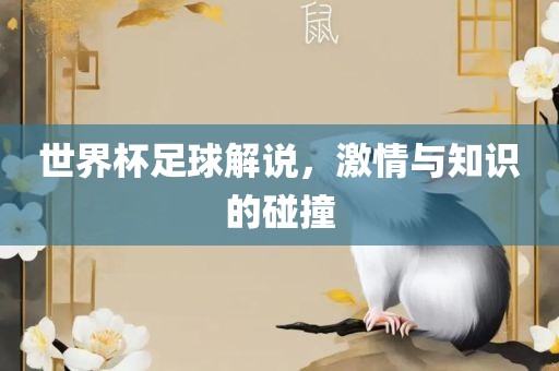 世界杯足球解说，激情与知识的碰撞