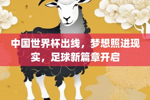 中国世界杯出线，梦想照进现实，足球新篇章开启