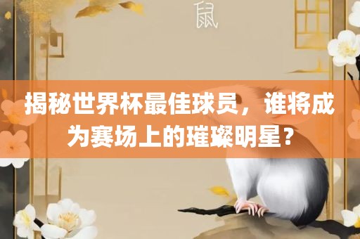 揭秘世界杯最佳球员，谁将成为赛场上的璀璨明星？