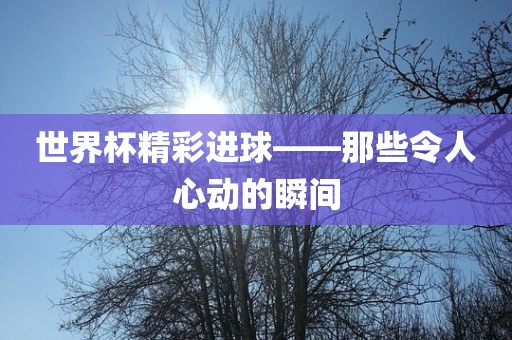 世界杯精彩进球——那些令人心动的瞬间