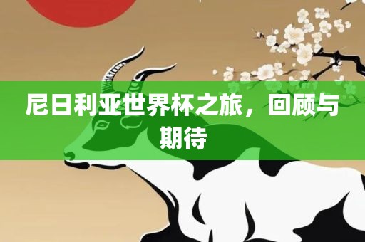 尼日利亚世界杯之旅，回顾与期待