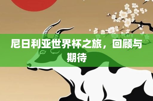 尼日利亚世界杯之旅，回顾与期待