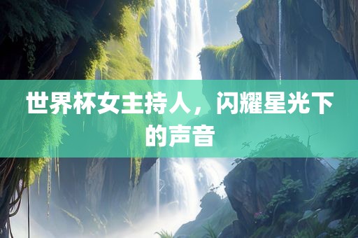 世界杯女主持人，闪耀星光下的声音