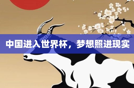 中国进入世界杯，梦想照进现实