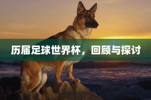 历届足球世界杯，回顾与探讨金炬实业股份有限公司