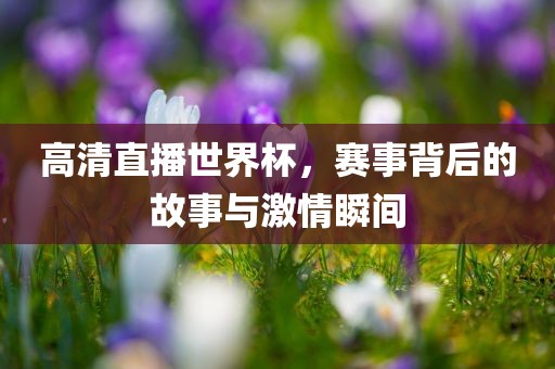 高清直播世界杯，赛事背后的故事与激情瞬间