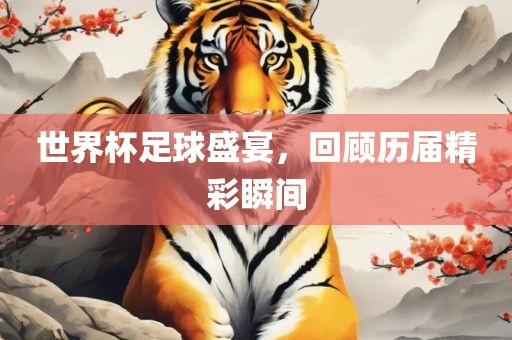 世界杯足球盛宴，回顾历届精彩瞬间金炬实业股份有限公司