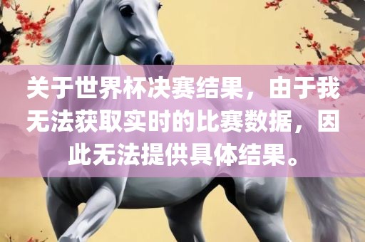 关于世界杯决赛结果，由于我无法获取实时的比赛数据，因此无法提供具体结果。金炬实业股份有限公司