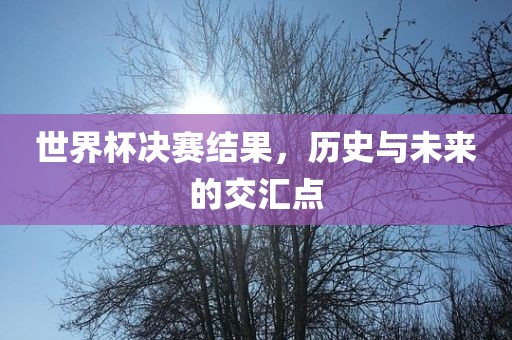 世界杯决赛结果，历史与未来的交汇点