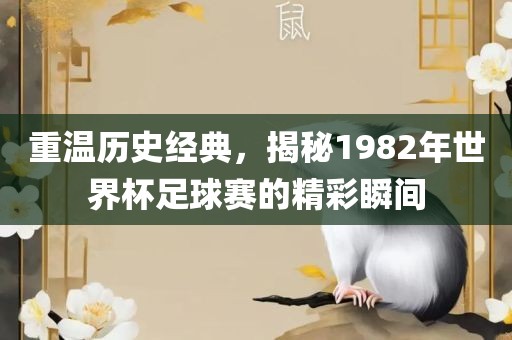 重温历史经典，揭秘1982年世界杯足球赛的精彩瞬间金炬实业股份有限公司