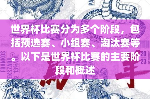 世界杯比赛分为多个阶段，包括预选赛、小组赛、淘汰赛等。以下是世界杯比赛的主要阶段和概述