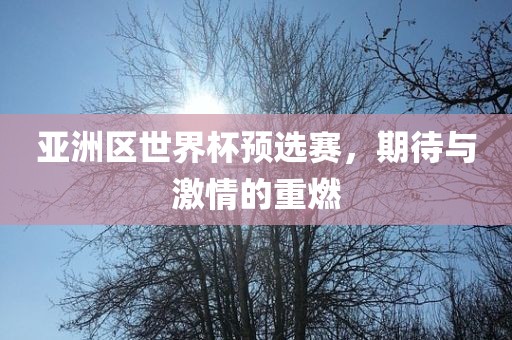 亚洲区世界杯预选赛，期待与激情的重燃